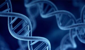 Complexo genético pode estar ligado ao transtorno de humor pré-menstrual